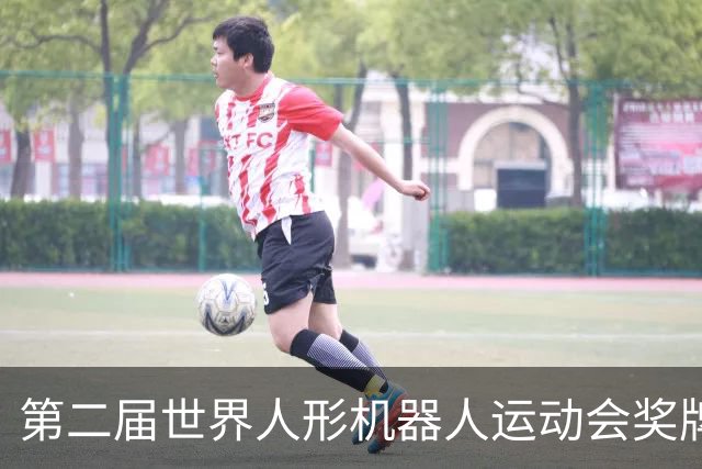 第二届世界人形机器人运动会奖牌、吉祥物发布